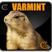 varmint