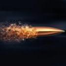 Bullet