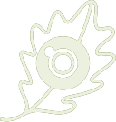 FeSo